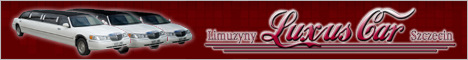 LuxusCar banner by Maciej Godniak